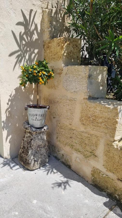 Chambre Saint Emilion - Le Clos D'Antan Les Artigues-de-Lussac Dış mekan fotoğraf